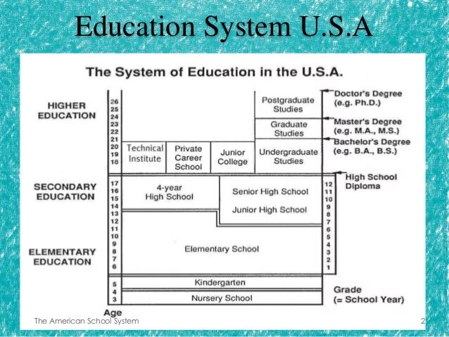 The system английский. Education System in the USA таблица. Education in USA схема. School Education in the USA таблица. The British School System таблица.