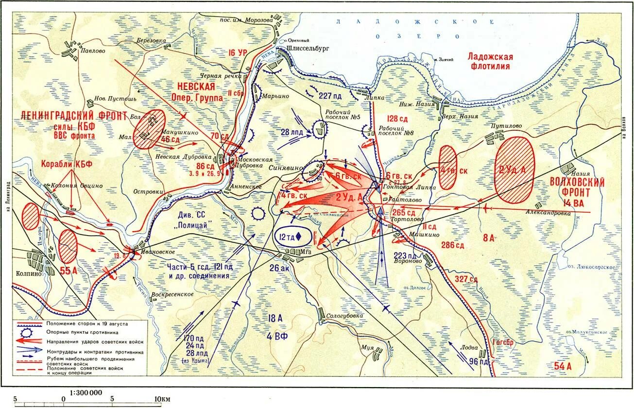 Фронт 1941 карта. Бои Ленинградская область Синявинские высоты 1942 год. Мгинская наступательная операция карта. Синявинские высоты 1941-1944. Синявинские высоты 1943 бои.