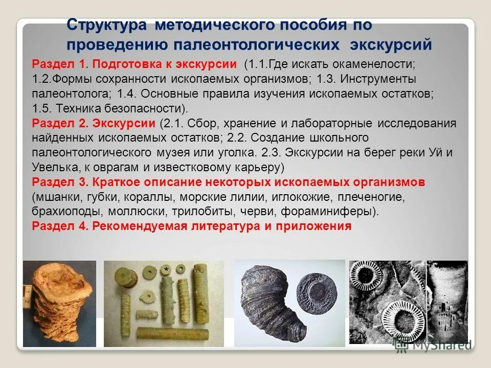 Формы сохранности ископаемых. Типы сохранности окаменелостей. Остатки органики. Коллекция формы сохранности ископаемых растений и животных набор\. Формы сохранности ископаемых.