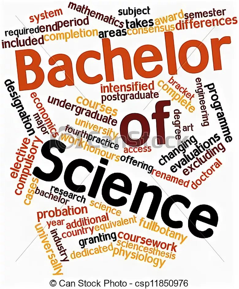 Major minor. Bachelier фирма. Major subject. Major subject. University majors.