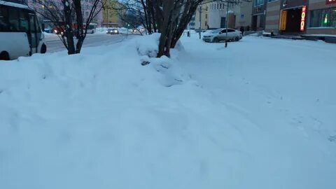 Снегопад засыпает дорогу