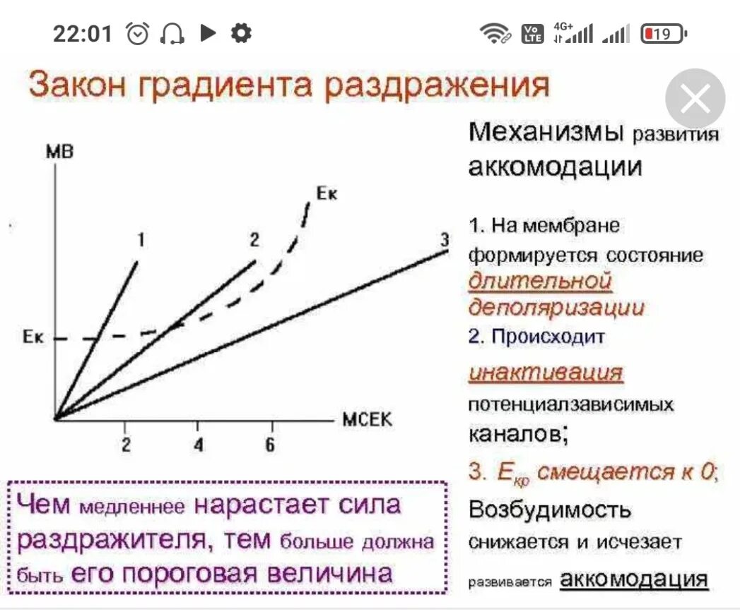 Нарастание силы. Закон градиента нарастания силы раздражителя. Закон градиента физиология. Закон градиента физиология график. Закон раздражения возбудимых тканей закон градиента.