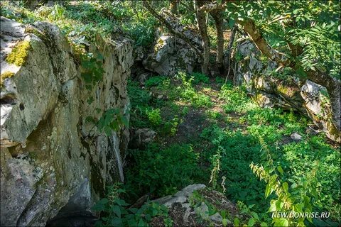 Лес каменная гора