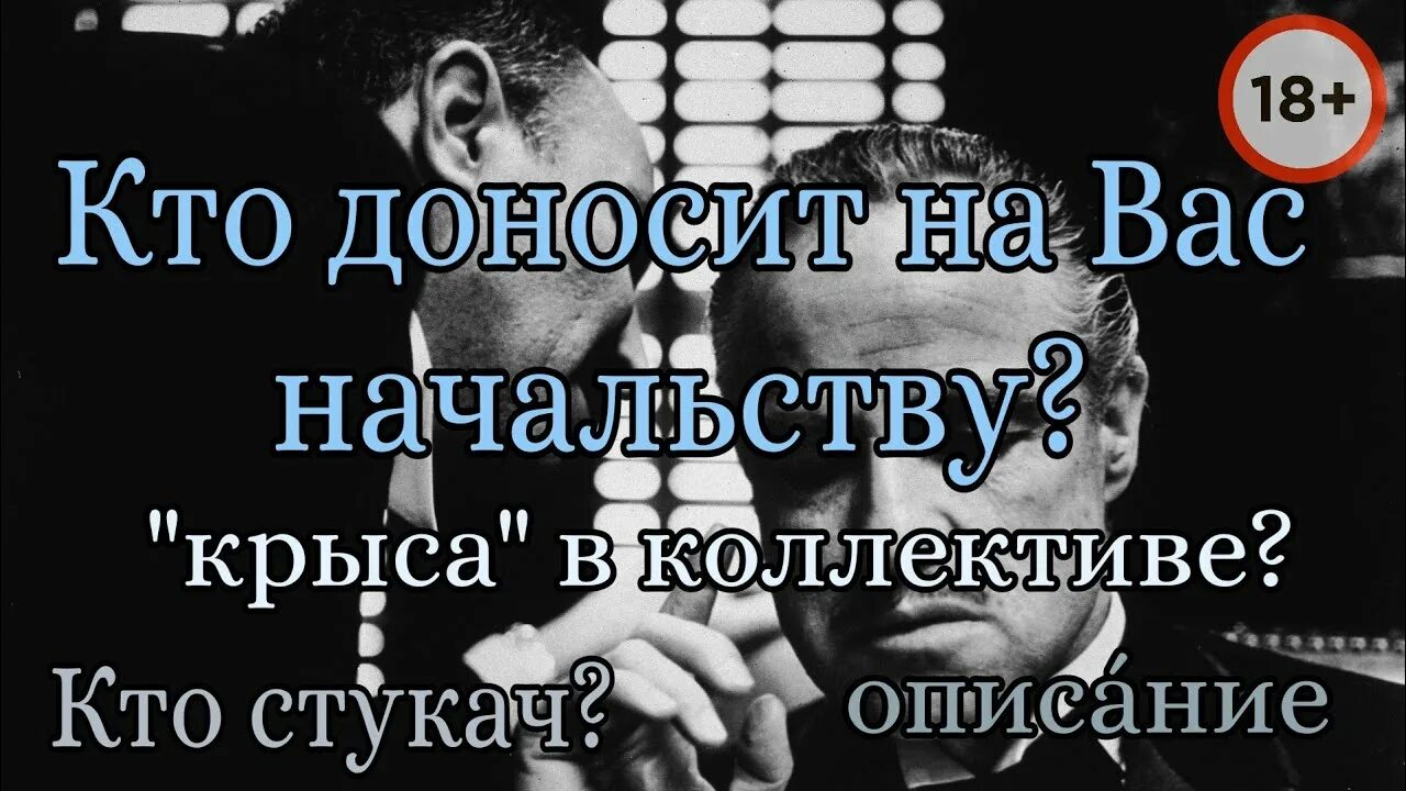 Стучать начальнику. Стукач в коллективе. Доносчик в коллективе. Крыса в коллективе. Стукачи и крысы в коллективе.