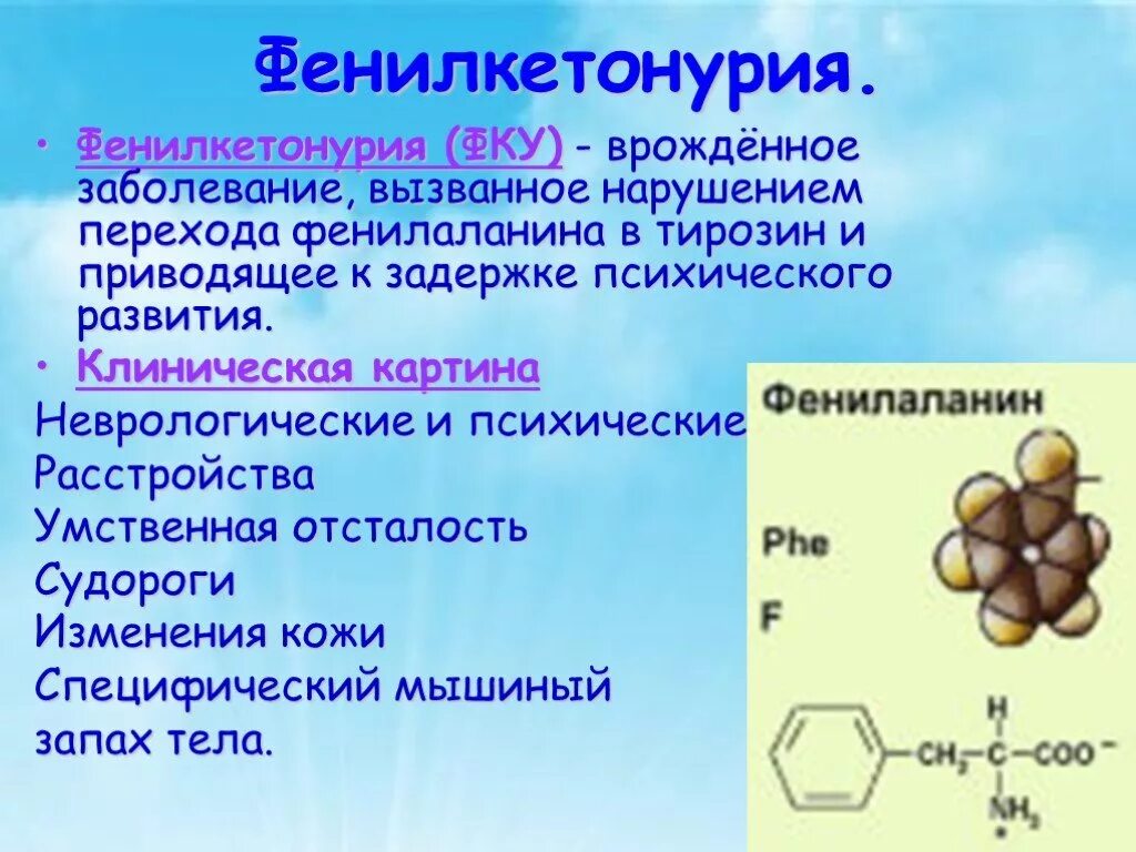 Фенилкетонурия генотип. Фенилкетонурия генная мутация. Болезнь фенилкетонурия презентация.