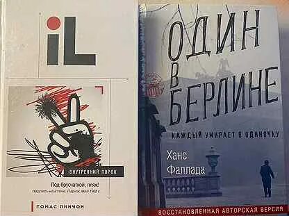 Пинчон внутренний порок