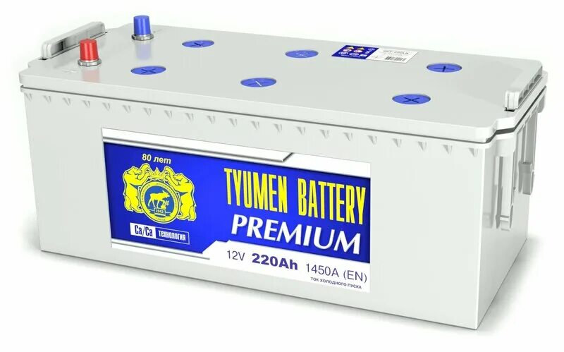 Аккумуляторы тюмень сайт. Аккумулятор Tyumen Battery Premium 6ст-220lr. Тюмень Premium 6ст-145l. АКБ 6ст-220lr "Tyumen Battery" Premium (Euro) (518/228/236) 17450 руб.. АКБ 220ач Tyumen Premium о.п. 518х228х238.