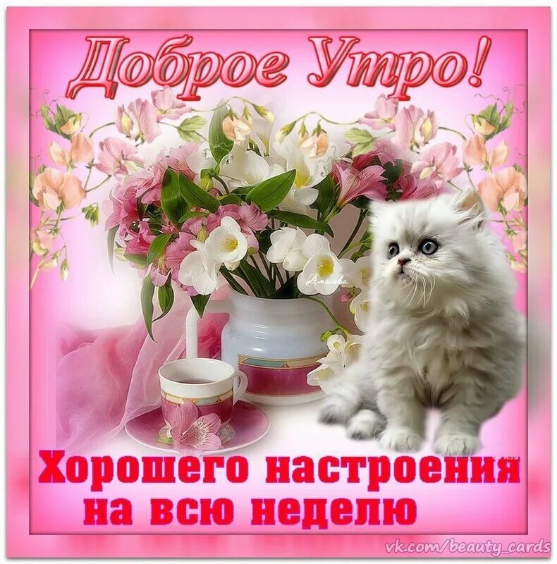 Хорошего дня и прекрасного настроения любимая. Поздравление с добрым утром. Красивые поздравления с добрым утром. Открытки с добрым утром подруге. Добрые пожелания.