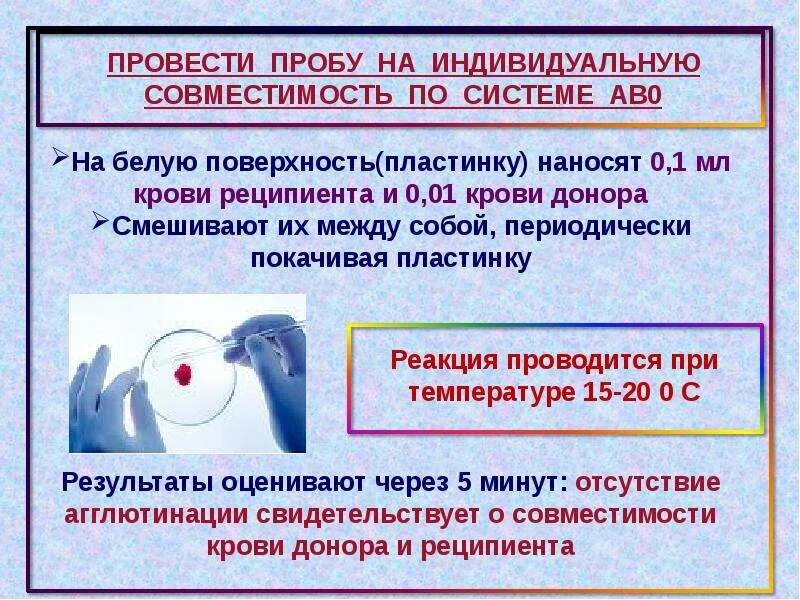 Проба на индивидуальную совместимость крови донора. Проба на индивидуальную совместимость крови донора и реципиента. Методика проведения проб на индивидуальную совместимость. Определение совместимости крови донора и реципиента.