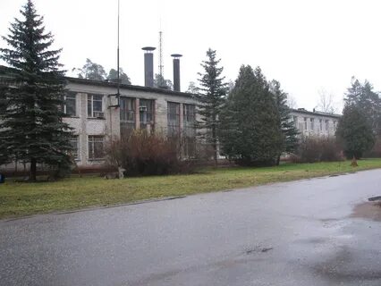 Ран черноголовка