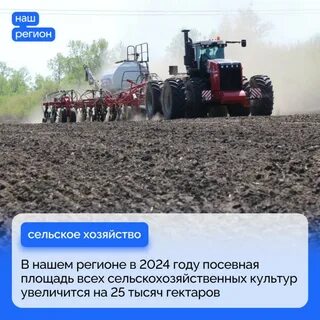 Сельское хозяйство алтайского края 2024