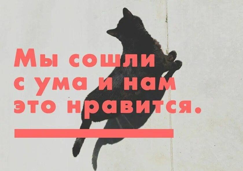 Давай сойдем сума