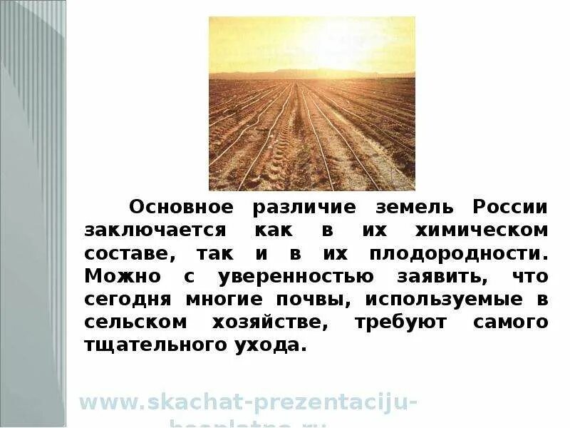 В чем состоит отличие почвы от горной. Основные сельскохозяйственные почвы России. Основные сельскохозяйственные почвы. Почва и земля различие. Различие почв.