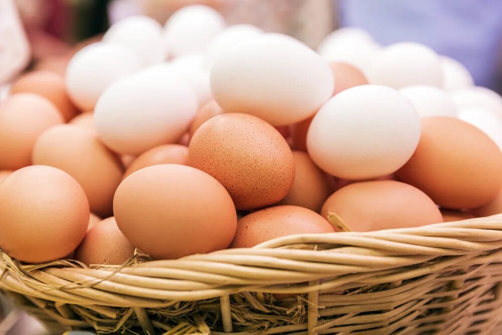 Яйцо куриное Сток. Eggs in the Basket. Яйца XXL. Eggs in one Basket. All eggs in sols rng