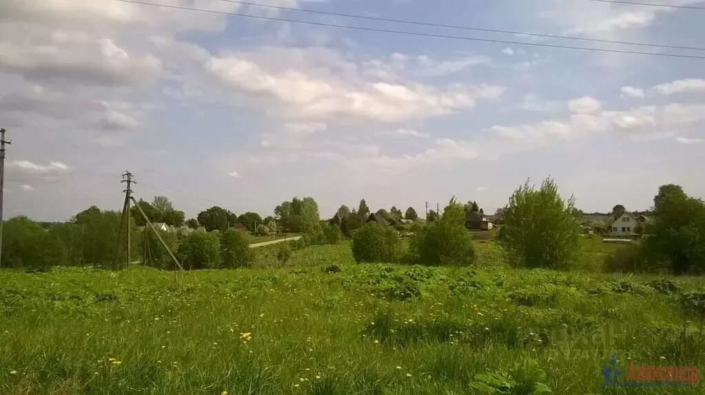 Деревня борщово. Борщово ленинградская область.