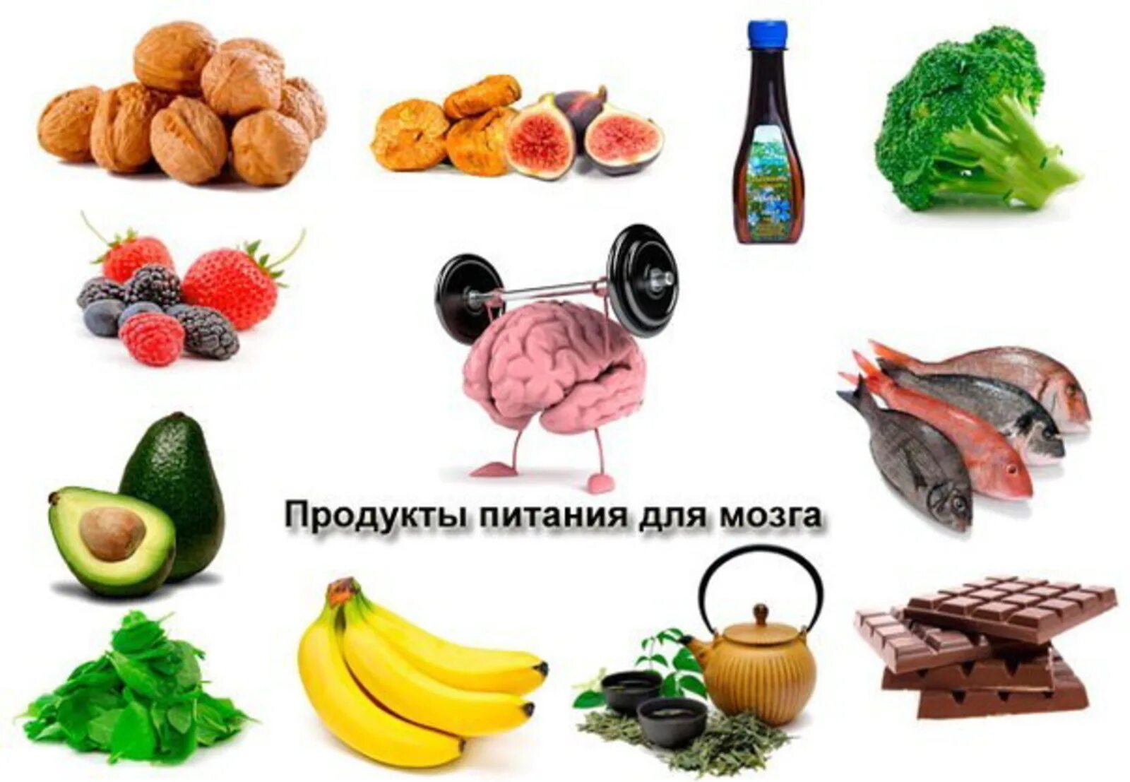 Какие продукты улучшают кровообращение. Продукты для мозга. Еда полезная для мозга. Еда для улучшения памяти. Полезные продукты для могза.