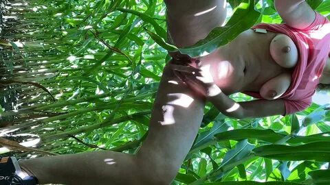 Spruta paus medan vandring i ett majsfält xHamster 