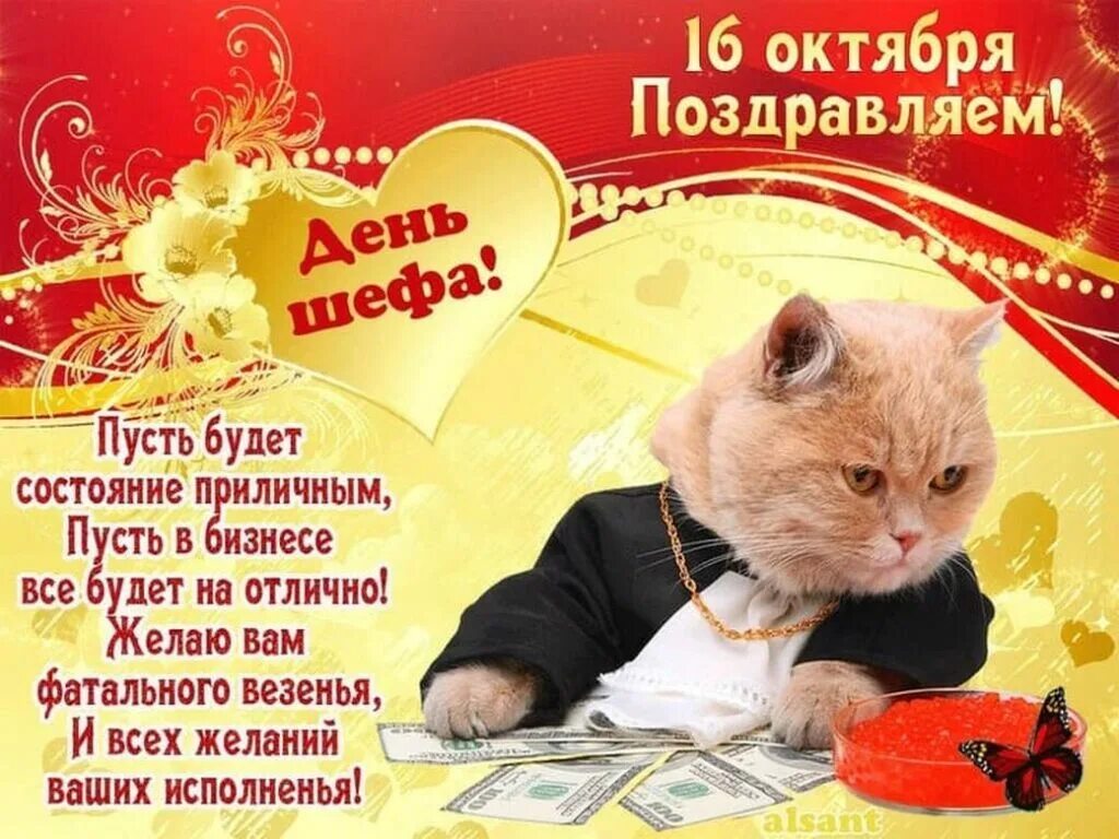 Смешные поздравления праздником