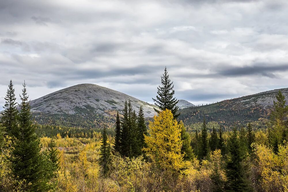 Якутия алданский район поселок ленинский. Бертин алдан памятник. Поселок якокут. Посёлок лебединый якутия. Поселок ленинский саха якутия.