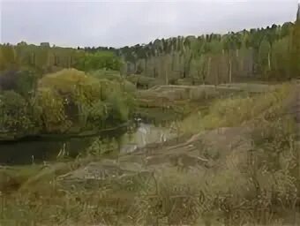 "тайна озера кучум". Топилин в. Озерно-болотный комплекс тайлаковский. Рыбалка в русском вожое. Озеро кучум.