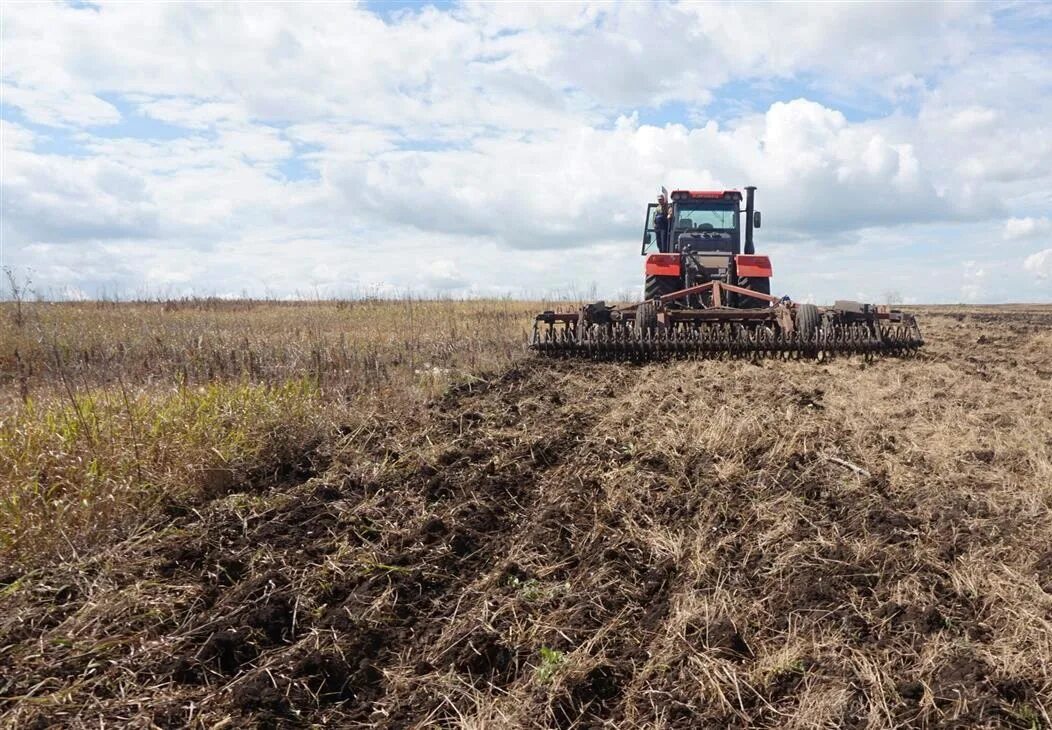 Неиспользование сельскохозяйственных земель. Неиспользование сельскохозяйственных земель. Чернозем в степи. Заброшенное поле. Неиспользование сельскохозяйственных земель.