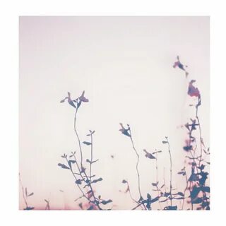 ventre belinda brillant nue 