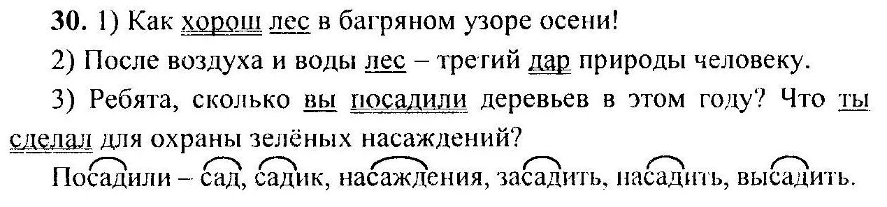 Описание действия 6 класс русский язык. Русский язык 6 класс задания. Русский язык 6 класс номер 30. Упражнения 30 по русскому языку 6 класс. Русский язык 6 класс ладыженская номер 30.