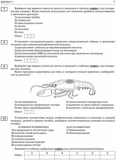 Тренировочный вариант биология 2023