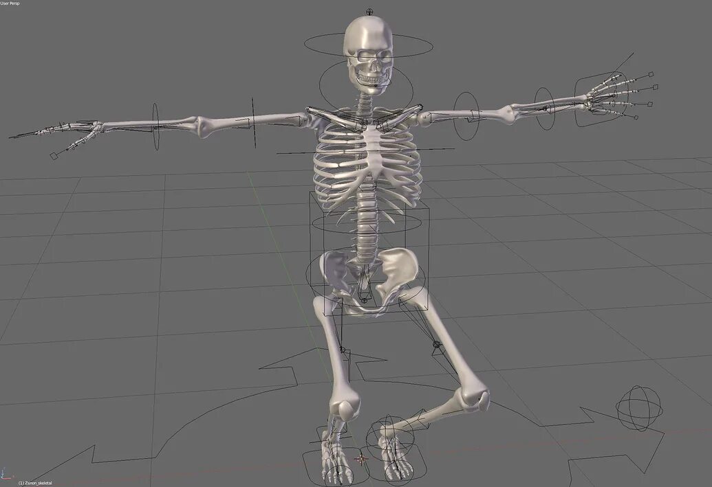 Скелет блендер модель. 3д модель скелета человека blender. Скелет unreal engine 4. 3д модель скелета человека blender. Скелет блендер модель.