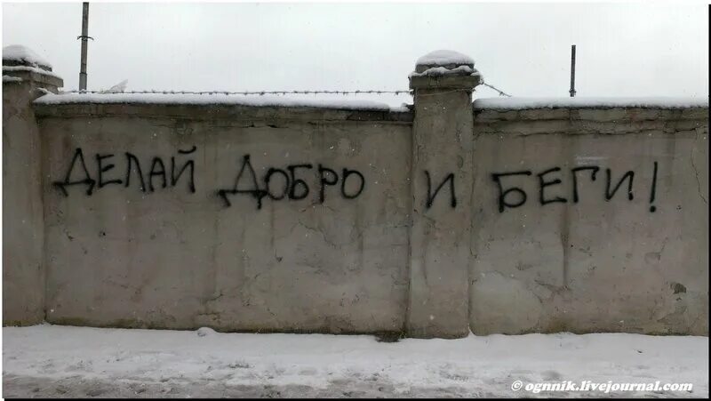 Добро не спит добро бежит 2023. Приглашение на семейный фестиваль. Добро не спит добро бежит. Добро не спит добро бежит. Песня беги дорогая.