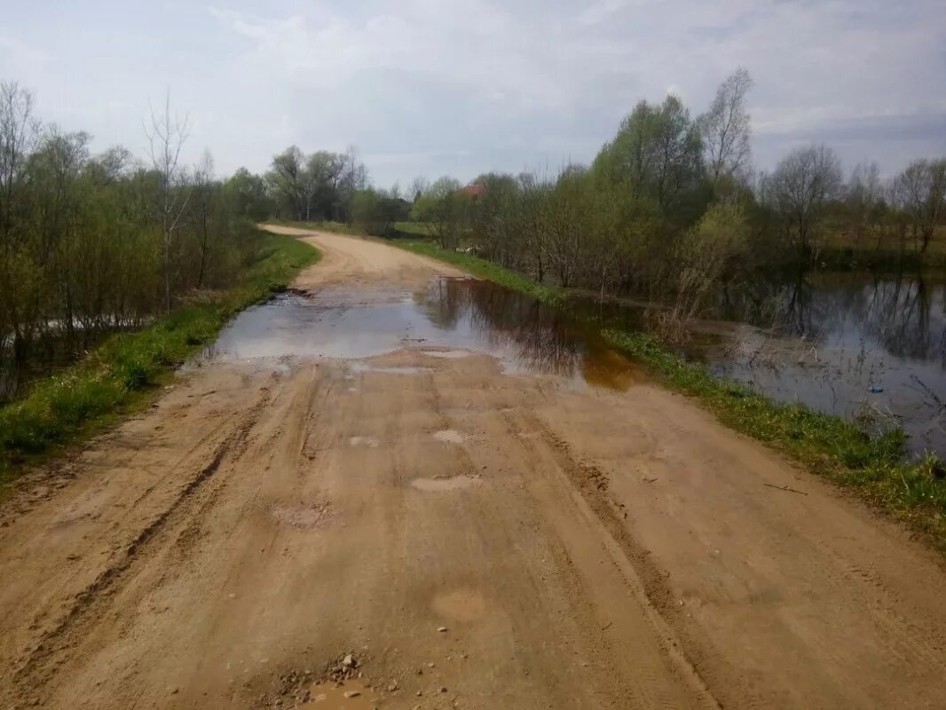 Новгородская область парфинский район деревня. Деревня городок Парфинский район. Деревня гонцы Парфинский район. Деревня гонцы Парфинский район Новгородской области. Деревня Обша Парфинский район Новгородская область.