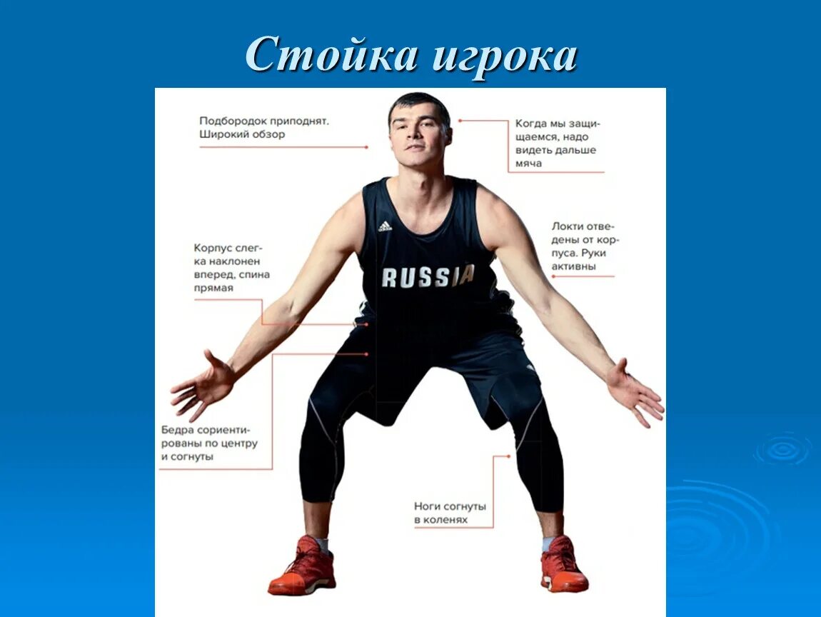 Правильное положение в защитной стойке баскетболиста