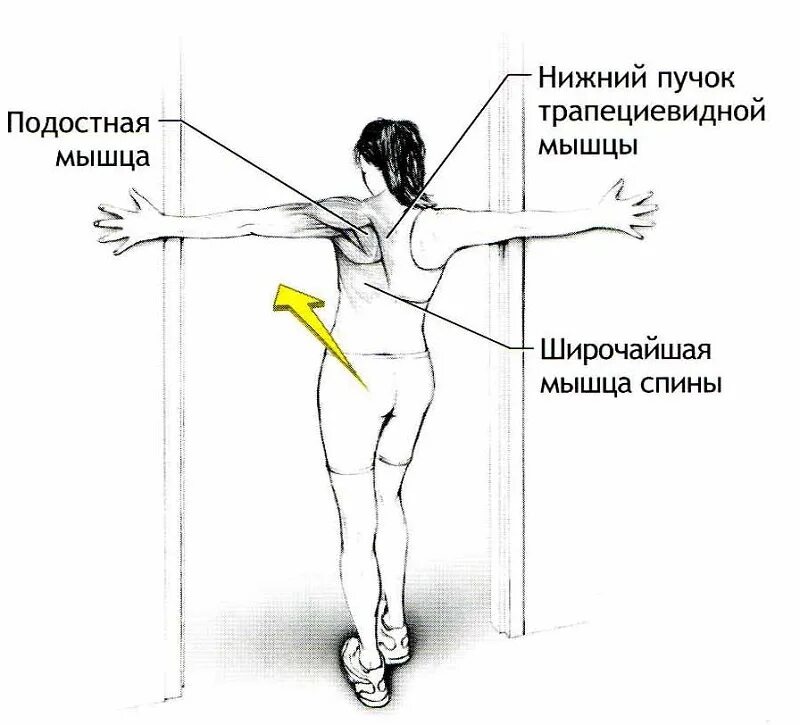 Как убрать трапециевидную мышцу
