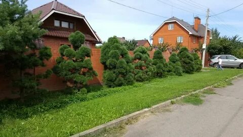 Предлагает участки