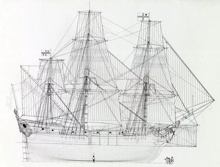 Anatomy ships