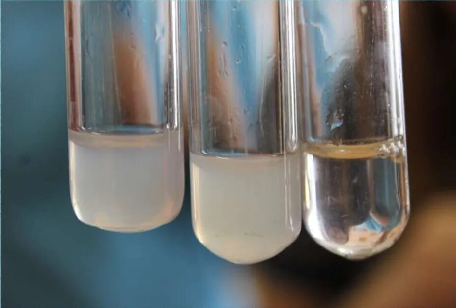 Реакция железа с раствором нитрата серебра. Хлорид натрия и хлорная вода. Хлориды в воде. Вода в пробирке. Раствор воды в пробирке.