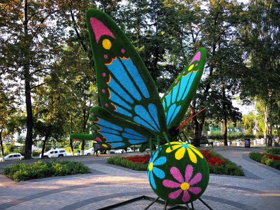 бабочка светяшиися. ферма бабочек. репейница и крапивница. парк бабочек краснодар. бабочки в парке краснодар.
