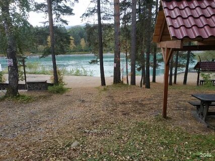 Сердце алтая отдых