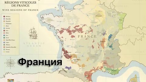 Регионы вин