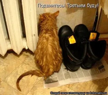 i?id=131647f99f7b8d81112477c1b7d9625fc69