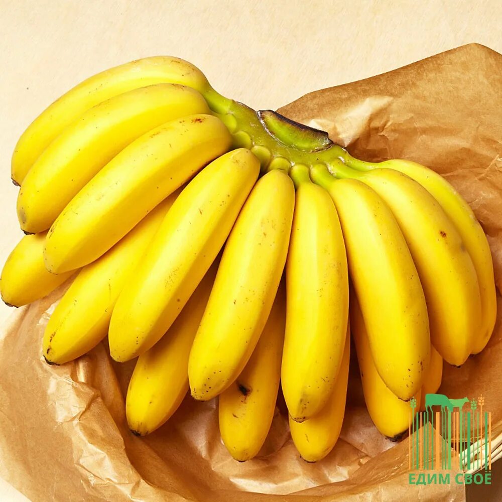 Где купить банан. Банан и мини банан. Бананы мини. Сорт маленьких бананов. Королевские бананы.