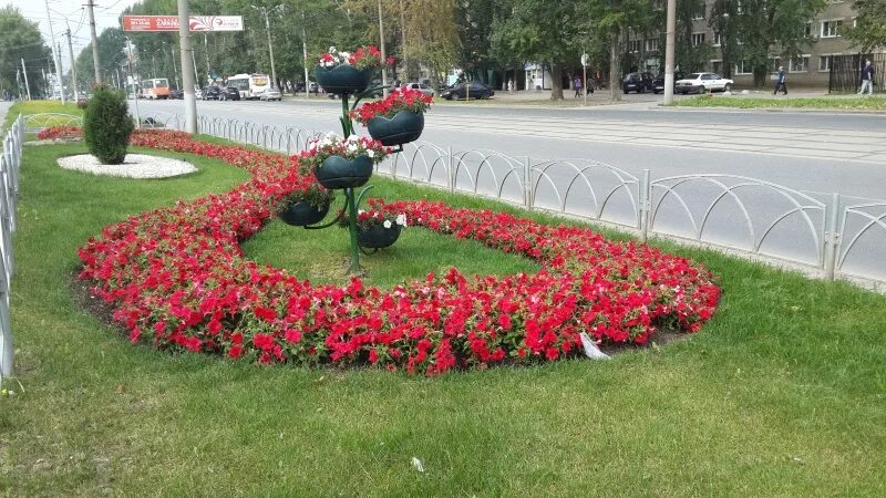 Клумба на Чкалова в Перми. Площадь Восстания Пермь цветник. Парк Победы Пермь Индустриальный район. Цветники в городе. Цветы чкаловская