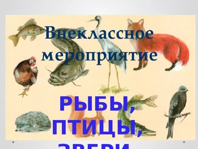 Жили были рыбы птицы звери. Жили были рыбы птицы звери экологический конкурс. Рыбы Внеклассное мероприятие.