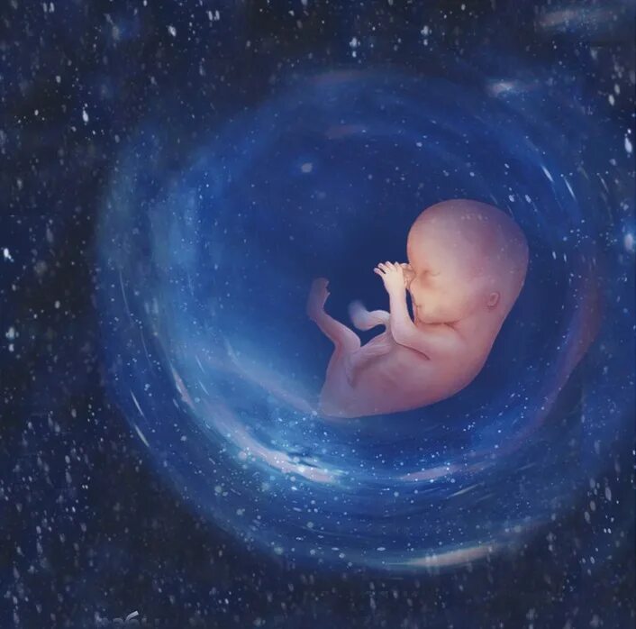Младенец в утробе космос. Рождение ребенка Вселенная. Эмбрион в космосе. Дитя космоса. Как рождаются новые души