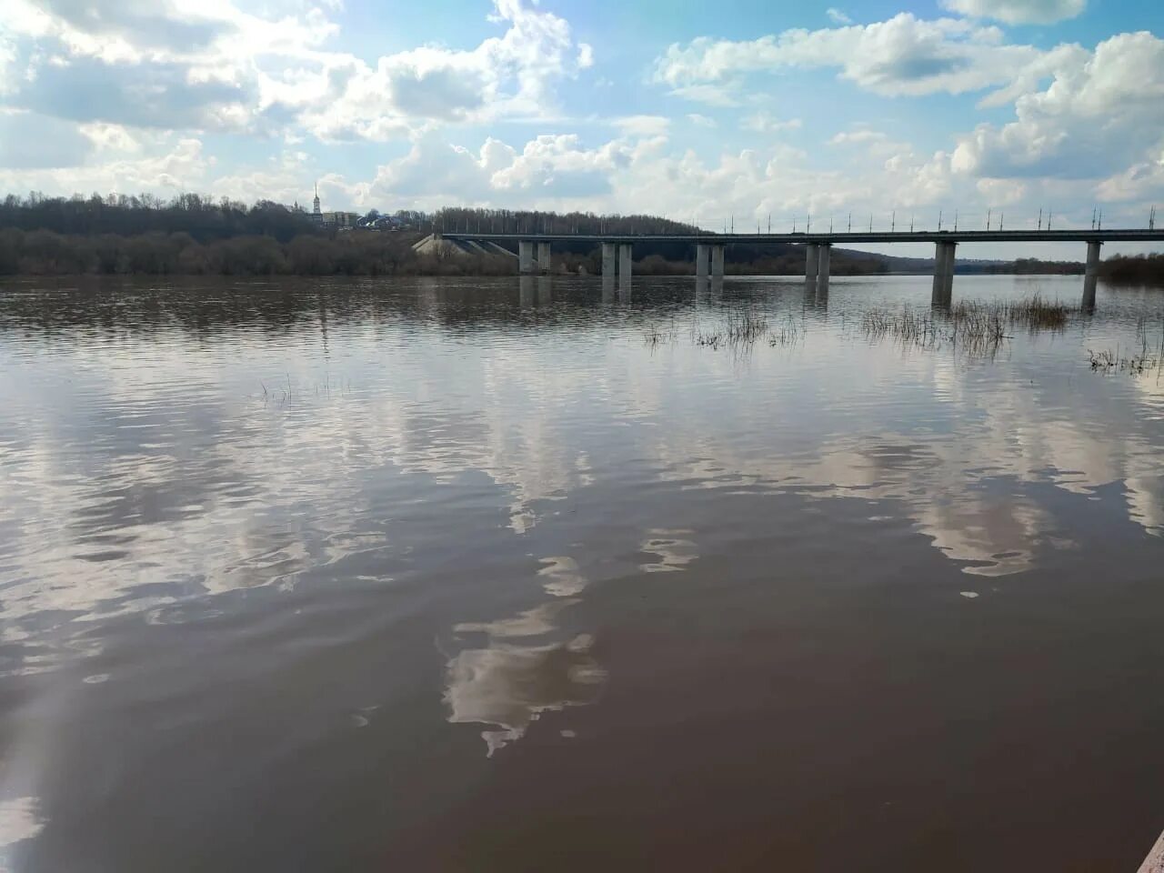 Уровень воды в реках калуги. Река Ока Калуга. Уровень воды в Оке Калуга. Уровень воды в реке Протва. Река Протва Обнинск.