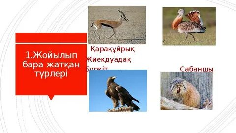 Райли Маркс минет