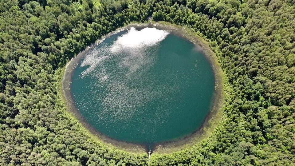 Озеро круглое Брянская область. Оз круглое Брянская область. Round Lake круглое озеро. Круглое озеро Пенза.