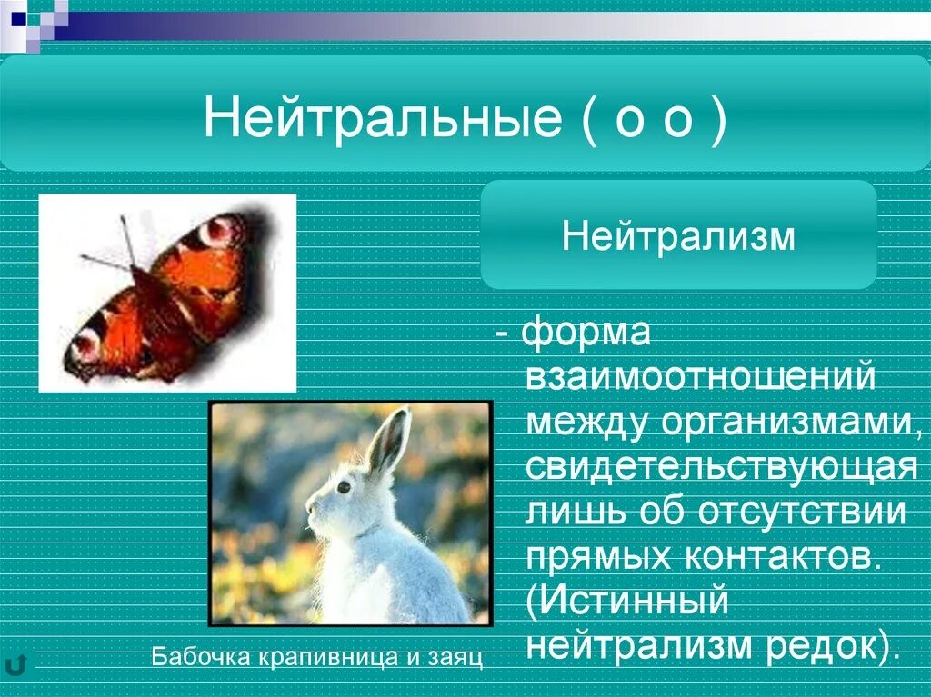 Что такое нейтрализм. Типы биотических взаимодействий нейтрализм. Биотические взаимоотношения примеры нейтрализма. Нейтрализм Тип взаимоотношений. Взаимоотношения между организмами нейтрализм.