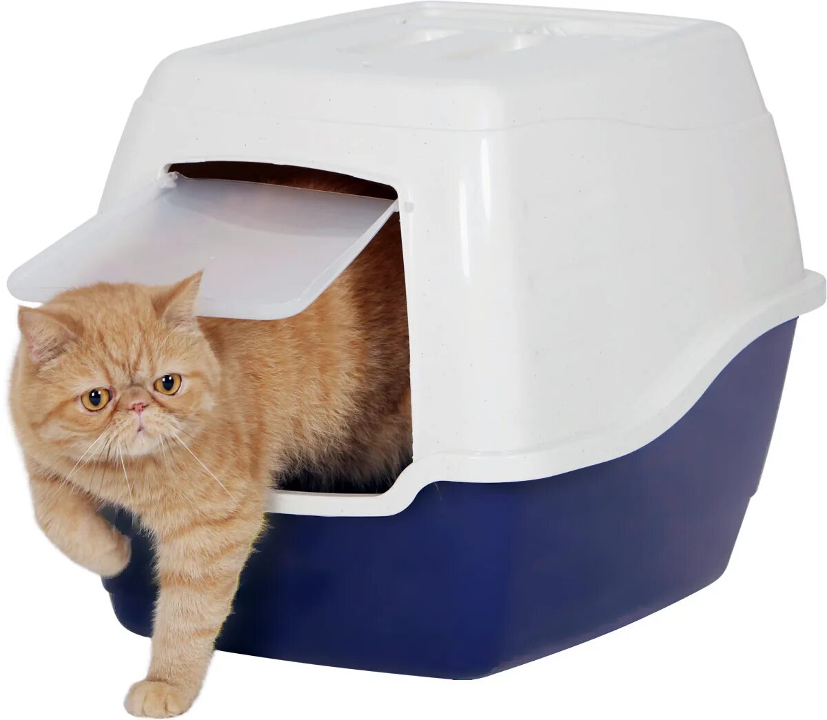 Кошачий туалет купить в москве. Лоток Cat-l19. Туалет-домик для кошек petsafe SCOOPFREE Ultra 70.2х40.6х48.6 см. Туалет-лоток для кошек 50 x 40 x 41 см. Cat-l28 Grey. Кошачий туалет catgenie.