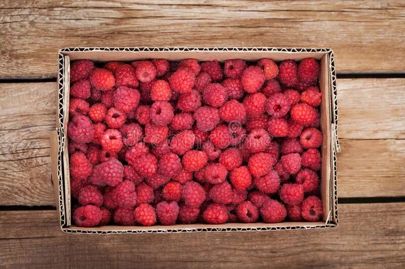 коробка с малиной. коробочка малины. малина в контейнере. коробочка малины. коробочка малины.